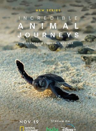 Incredible Animal Journeys Saison 1