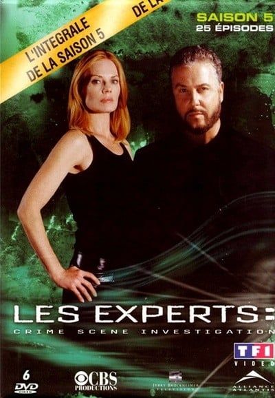 Les Experts Saison 5