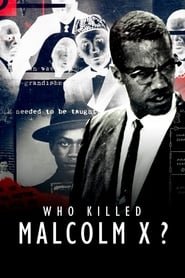 Who killed Malcolm X? Saison 1