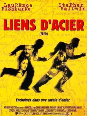 Liens d'acier