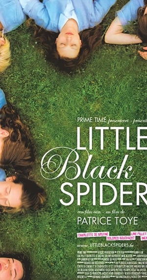 Little Black Spiders