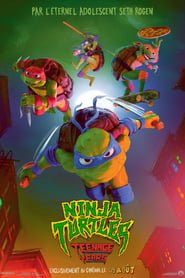 Ninja Turtles : Teenage Years